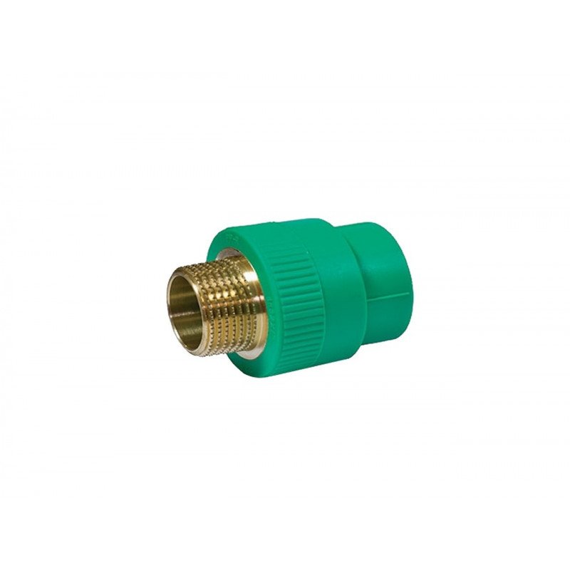 PPR Male Thread Adaptor 1 2 Inch Canvas General Trading L L C