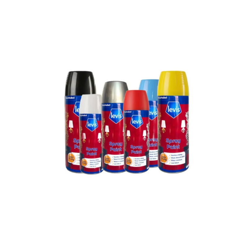 Levis Spray Paint